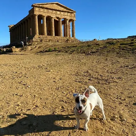 Pensión Akragaroom Agrigento